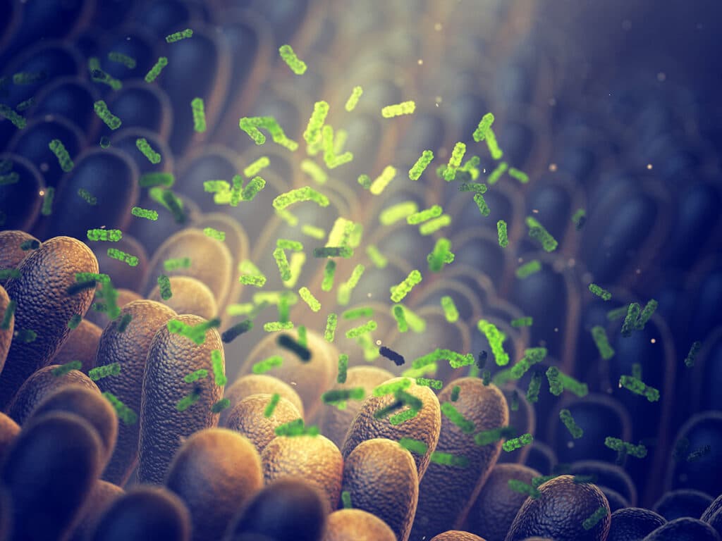 Bewital agri gut it! Grafik Darmgesundheit