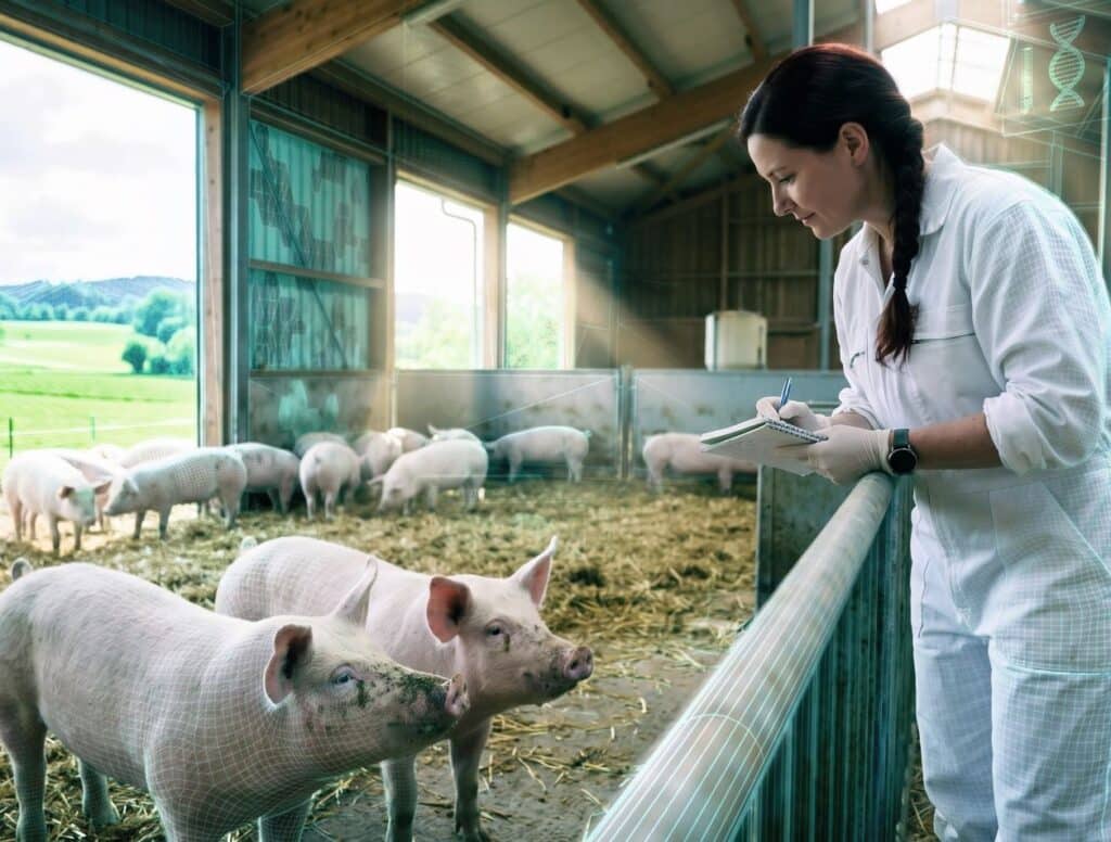 Bewital agri Knowledge Hub Schweine im Stall, Wissenschaftlerin