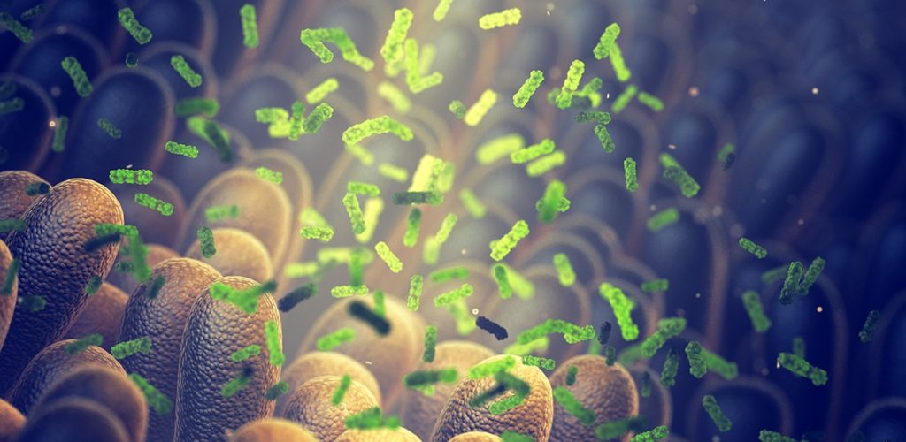 Bewital agri gut it! Grafik Darmgesundheit